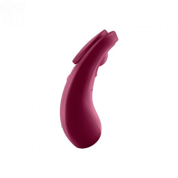 Satisfyer Sexy Secret - Wine Red - xtantric.ca